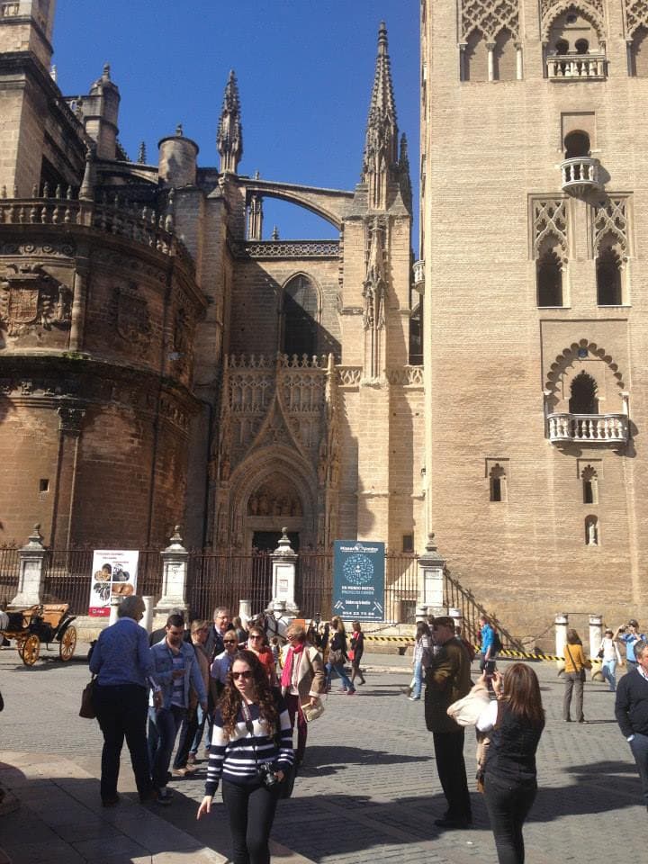 Peregrinación a la Aldea del Rocío 2014 — foto 2