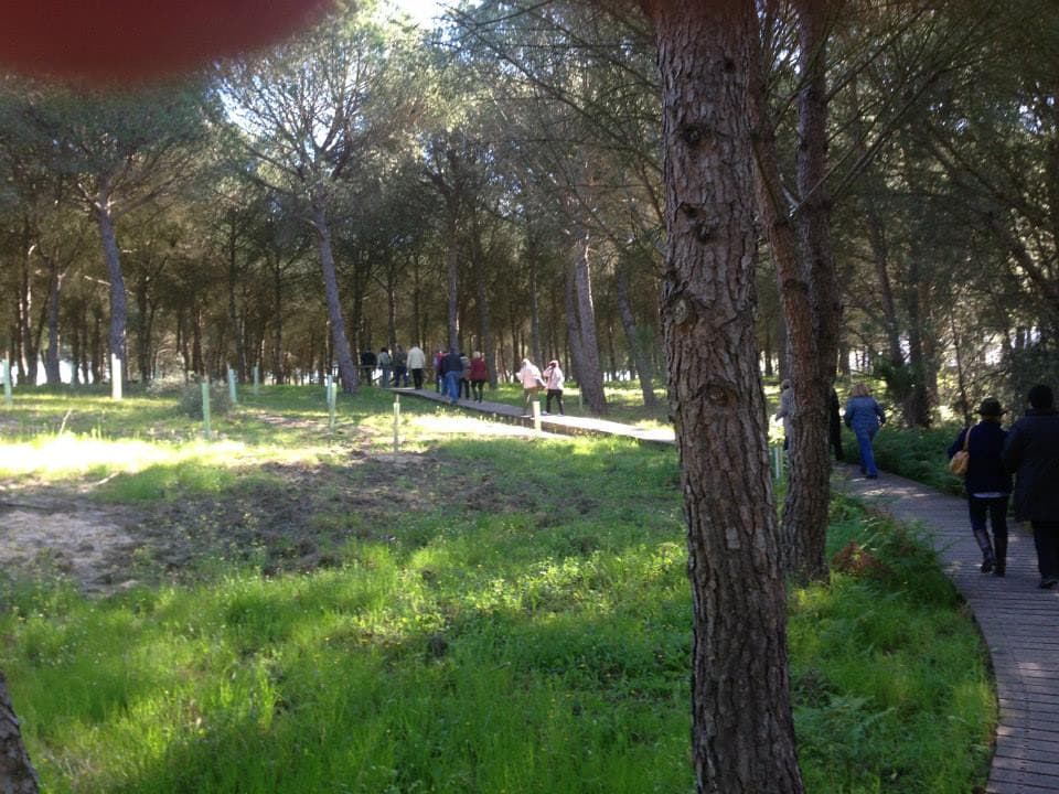 Peregrinación a la Aldea del Rocío 2014 — foto 16