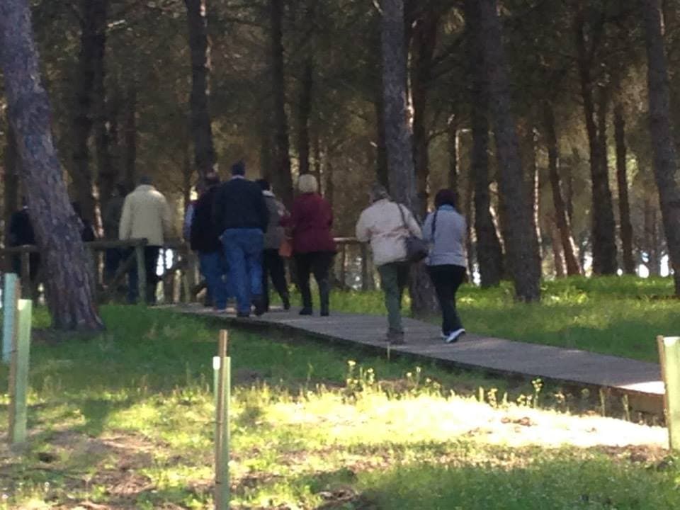 Peregrinación a la Aldea del Rocío 2014 — foto 17