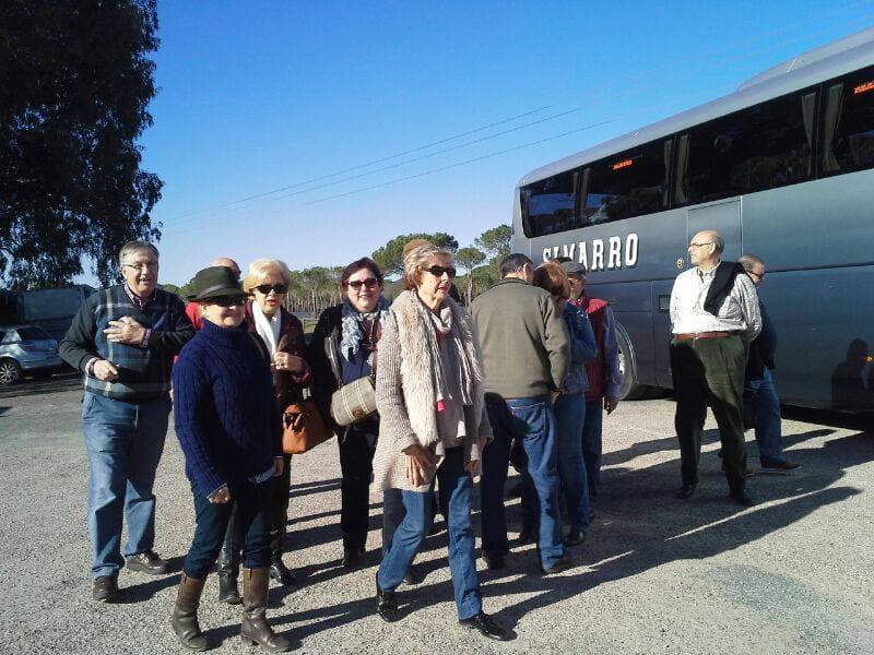 Peregrinación a la Aldea del Rocío 2014 — foto 32