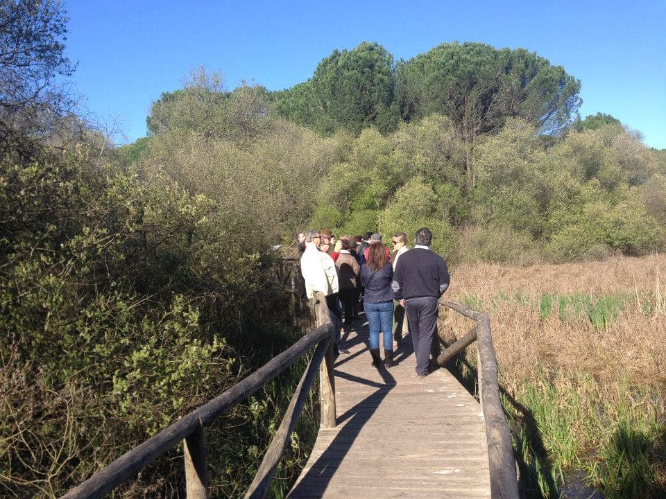 Peregrinación a la Aldea del Rocío 2014 — foto 38