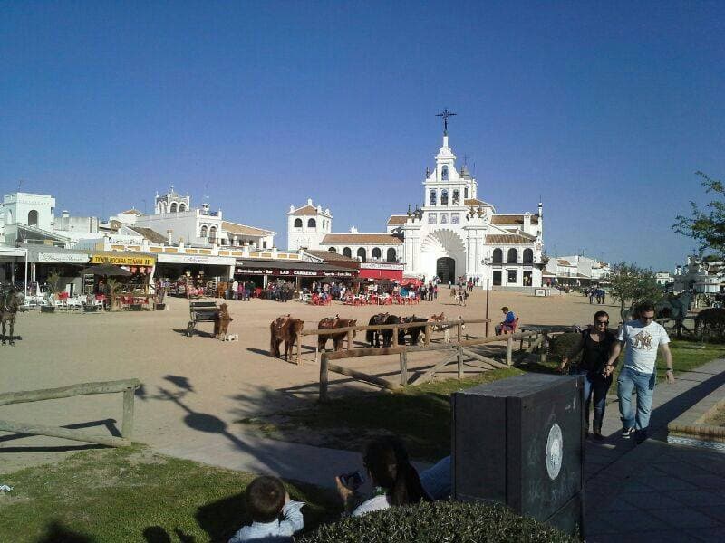 Peregrinación a la Aldea del Rocío 2014 — foto 56