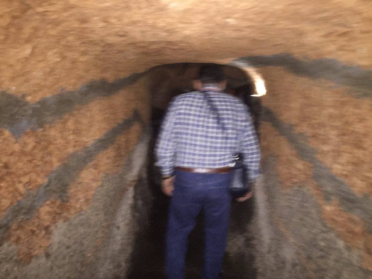 Peregrinación a la Aldea del Rocío 2017 — foto 10