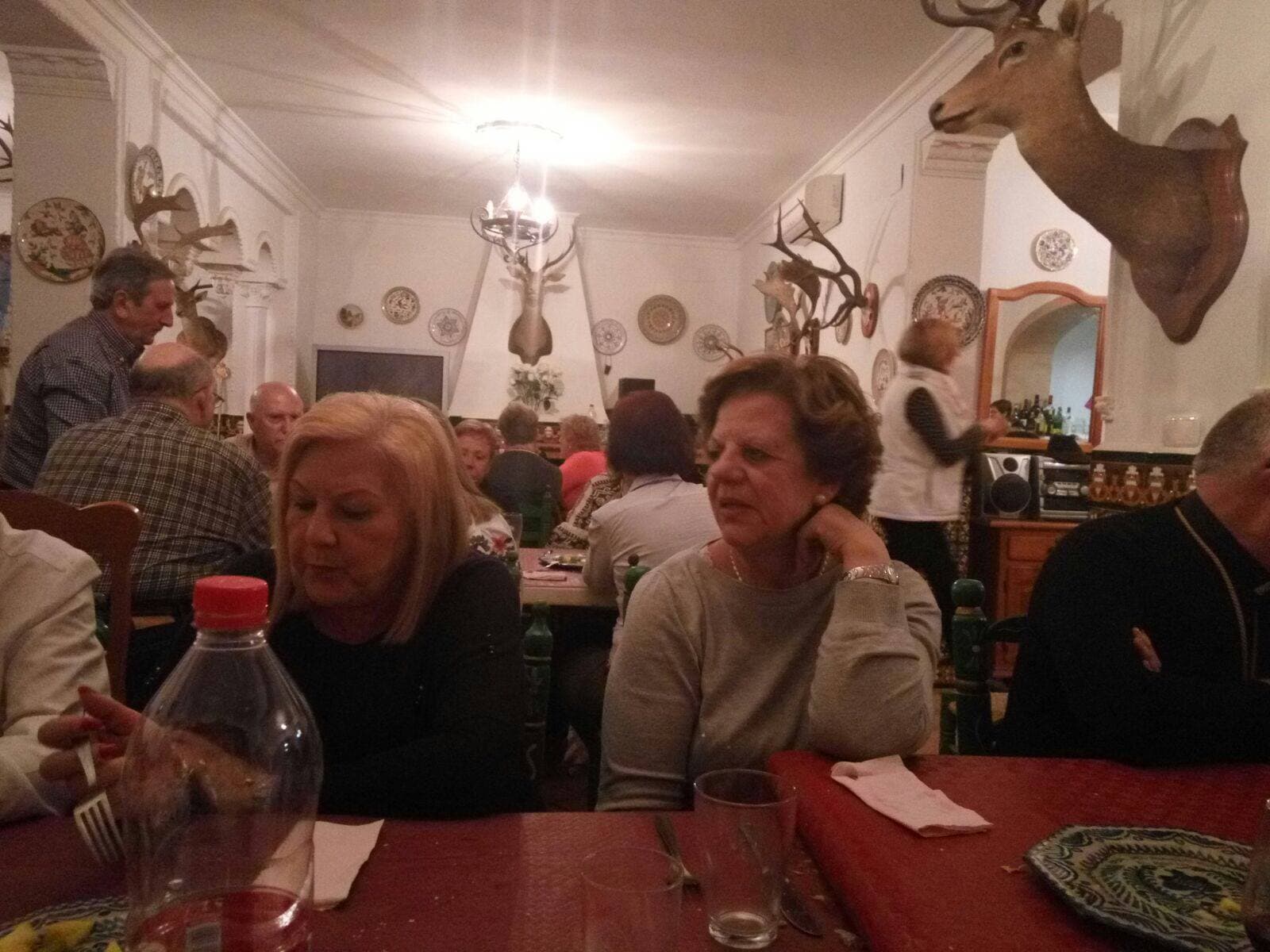 Peregrinación a la Aldea del Rocío 2017 — foto 73