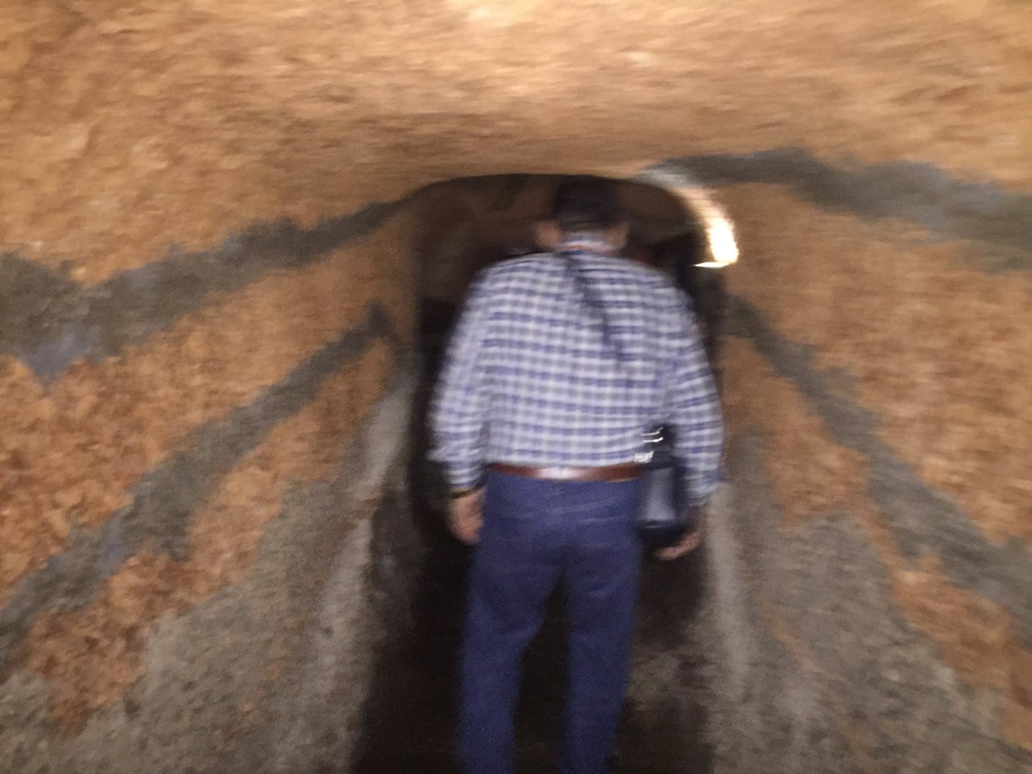 Peregrinación a la Aldea del Rocío 2017 — foto 104