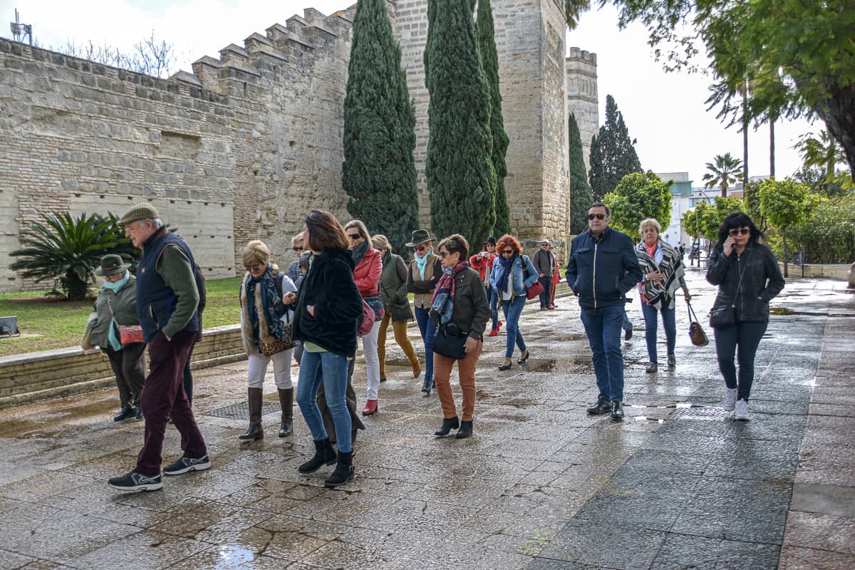 Peregrinación a la Aldea del Rocío 2020 — foto 15