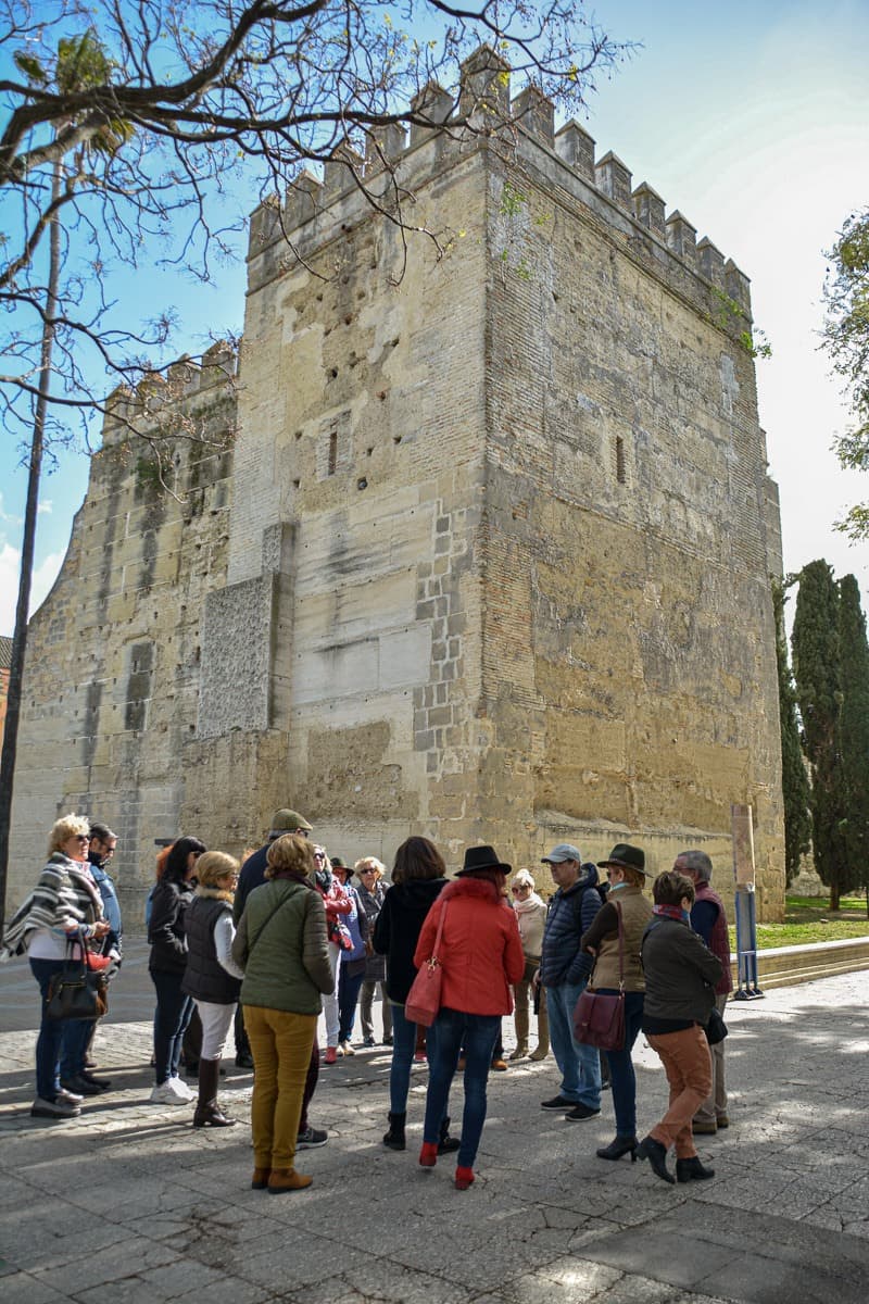 Peregrinación a la Aldea del Rocío 2020 — foto 17