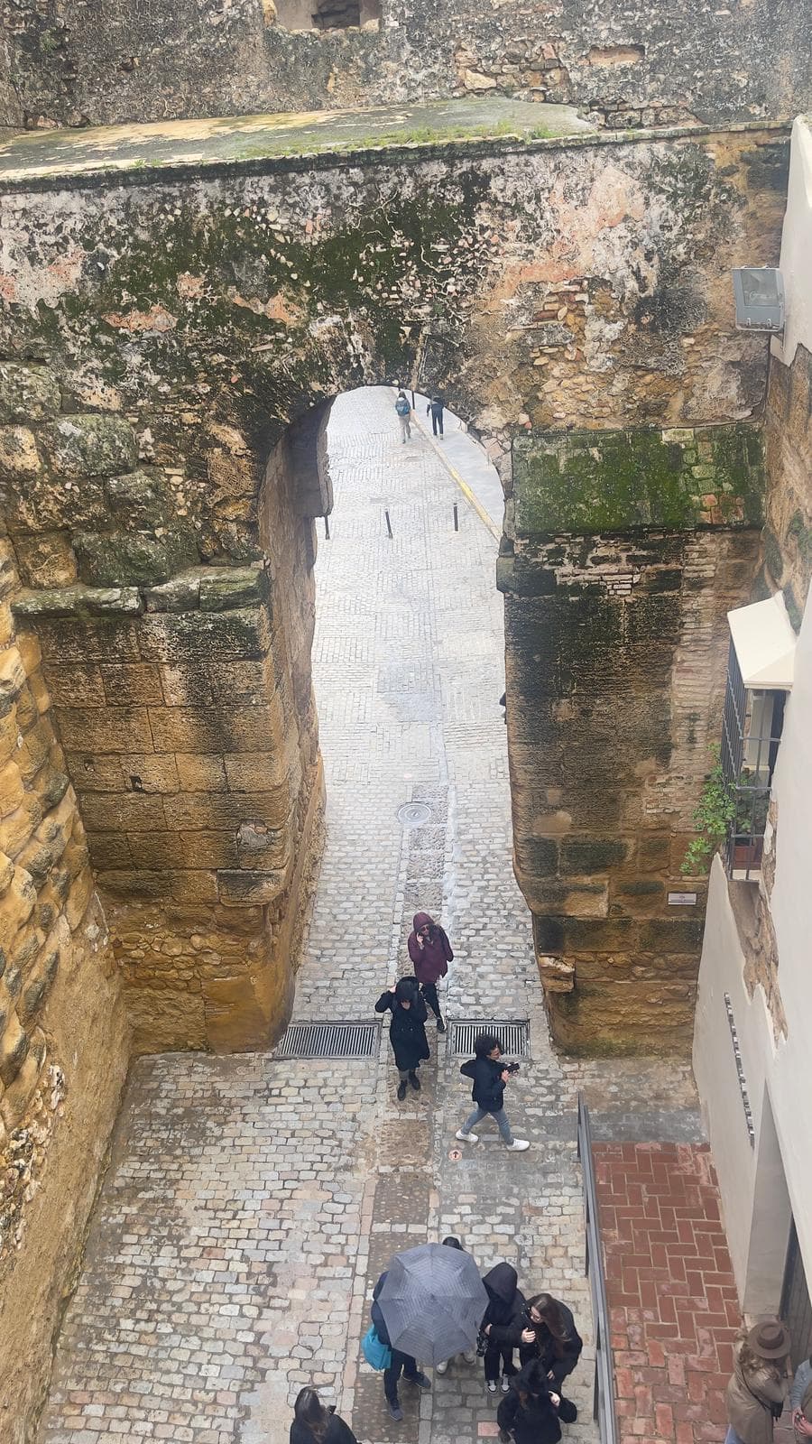 Peregrinación a la Aldea del Rocío 2025 — foto 19