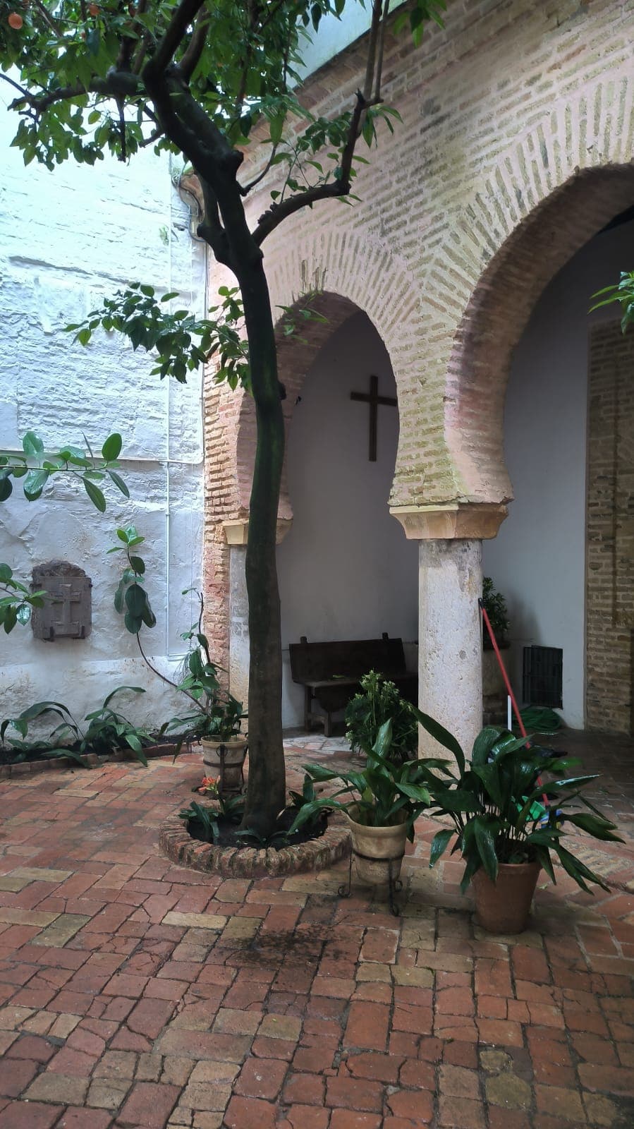 Peregrinación a la Aldea del Rocío 2025 — foto 30