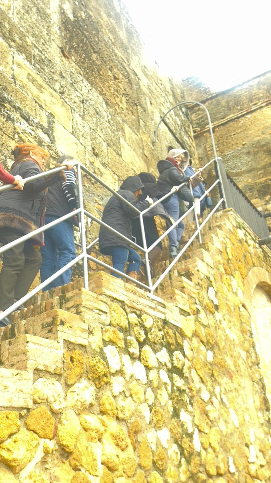 Peregrinación a la Aldea del Rocío 2025 — foto 35