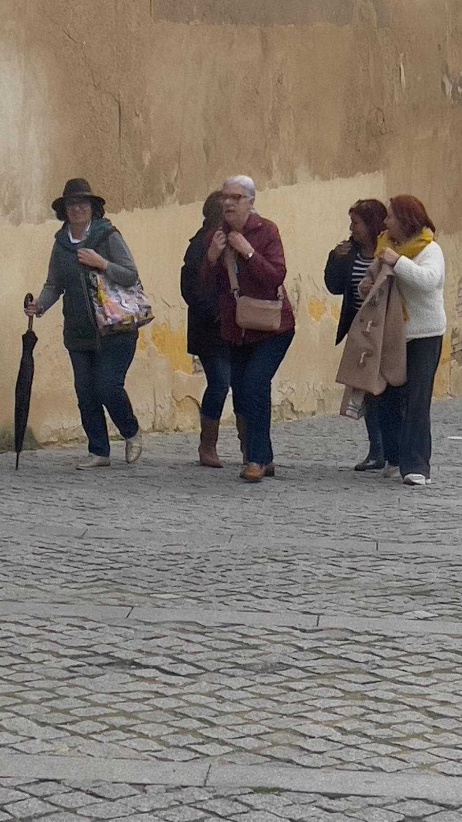 Peregrinación a la Aldea del Rocío 2025 — foto 58