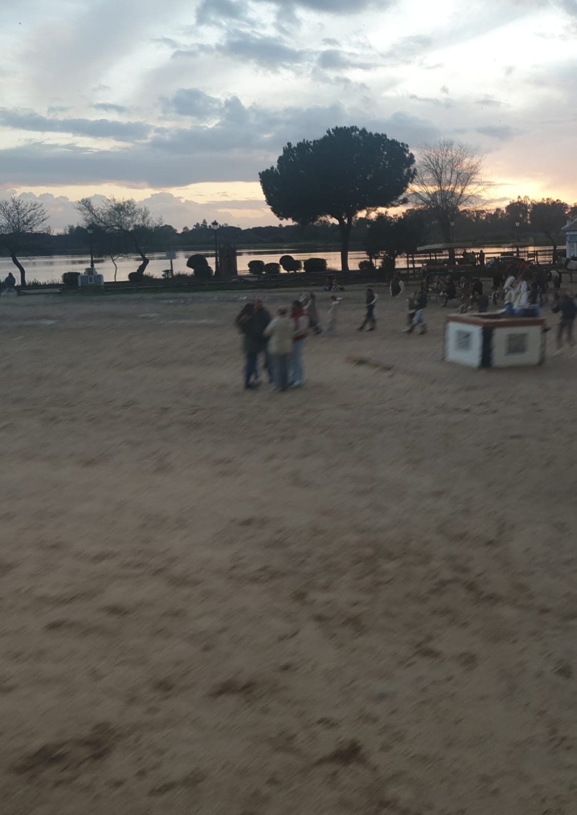 Peregrinación a la Aldea del Rocío 2025 — foto 109