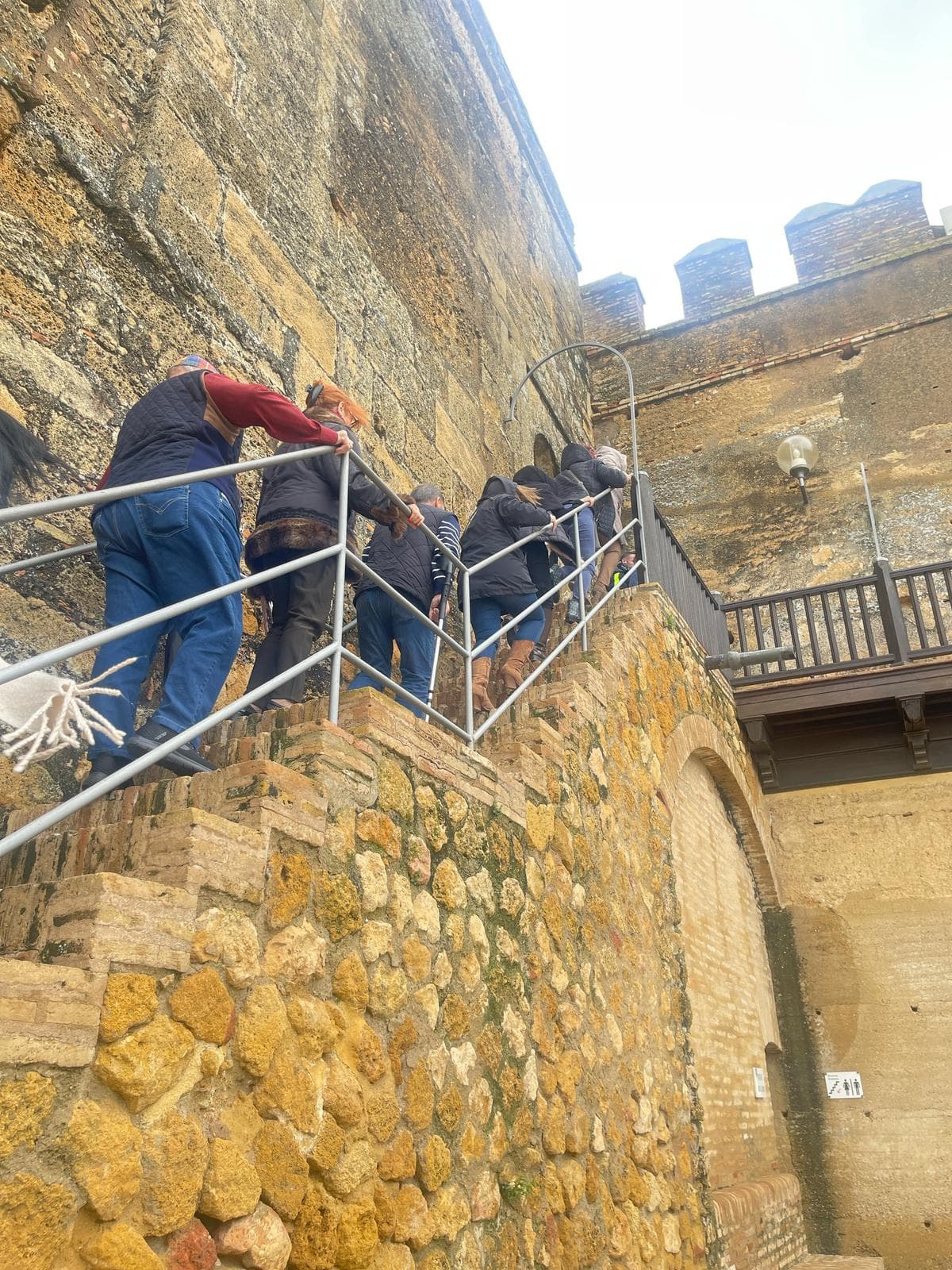 Peregrinación a la Aldea del Rocío 2025 — foto 192