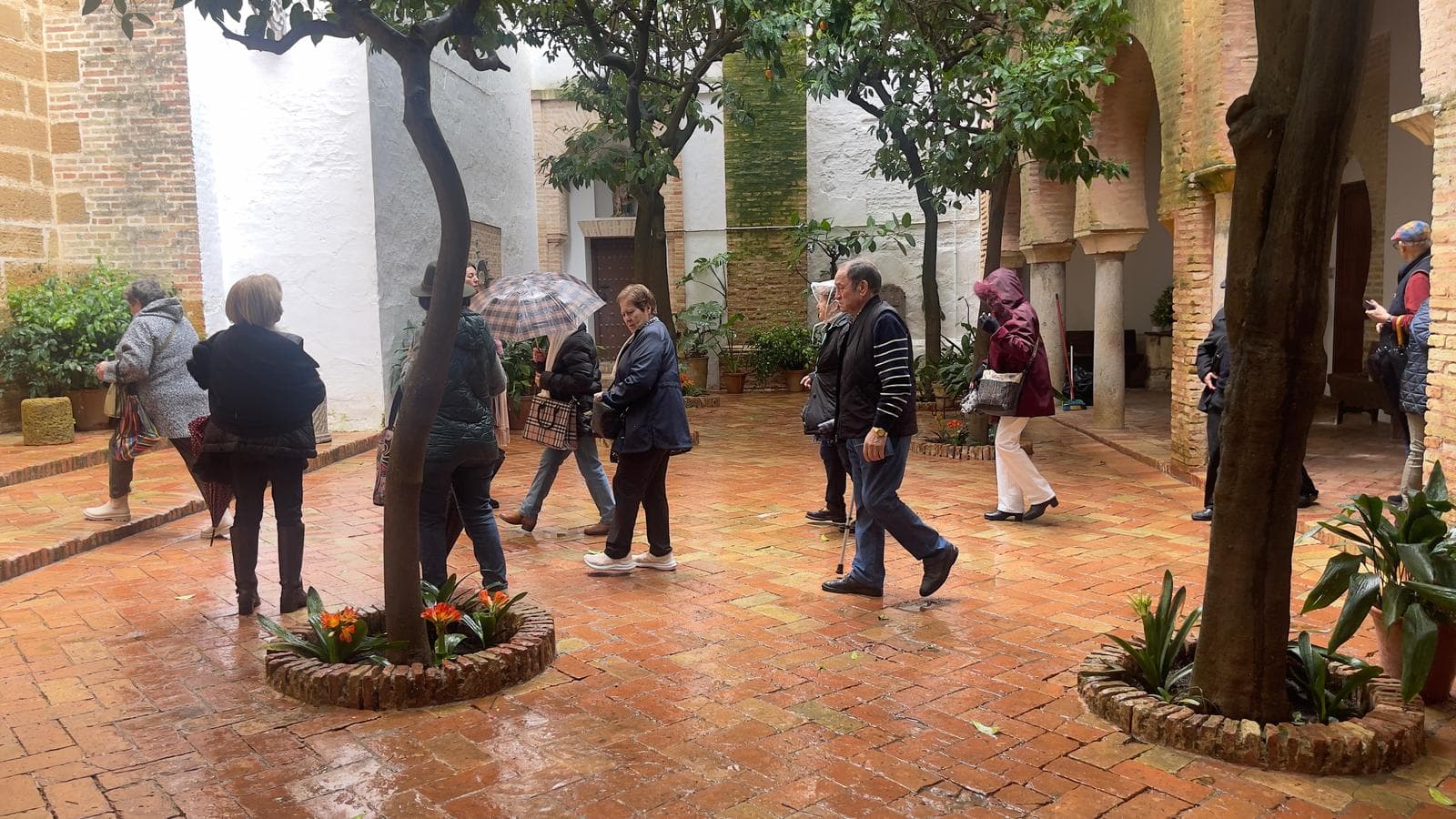 Peregrinación a la Aldea del Rocío 2025 — foto 198