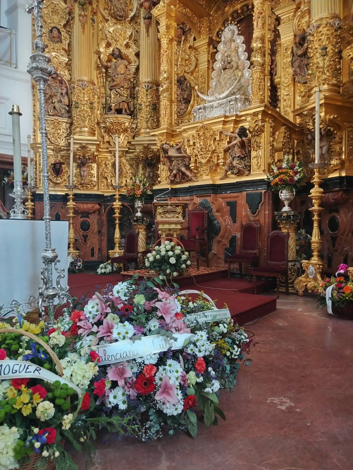 Peregrinación a la Aldea del Rocío 2026 — foto 20