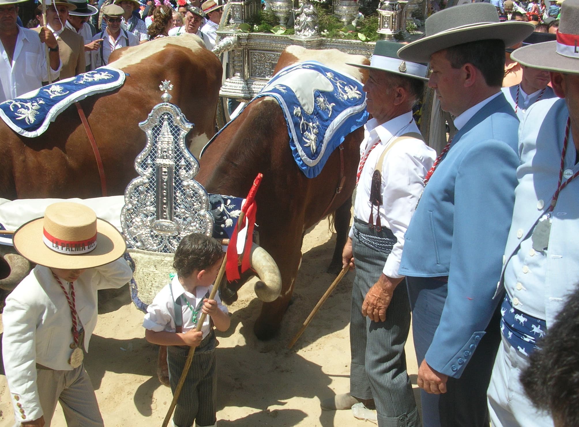 Romería de Pentecostés 2009 — foto 2