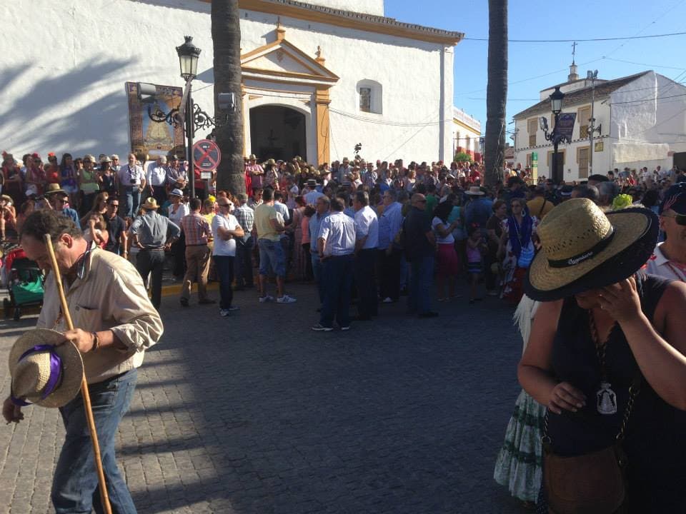 Romería de Pentecostés 2014 — foto 12