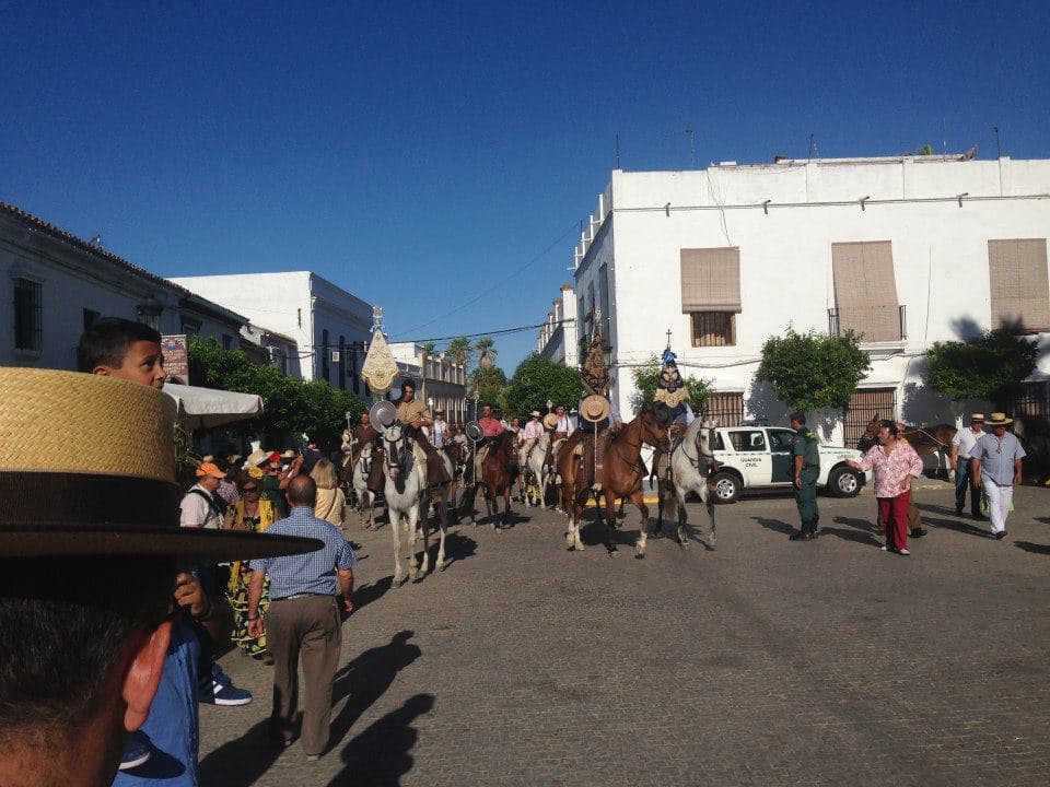 Romería de Pentecostés 2014 — foto 13