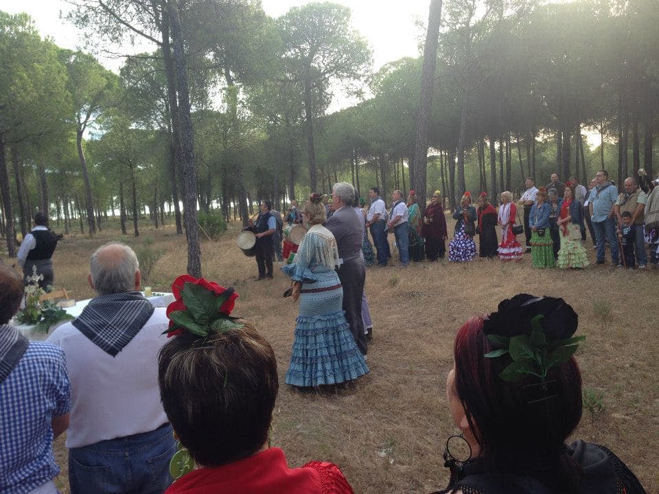 Romería de Pentecostés 2014 — foto 17