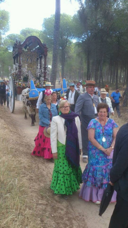 Romería de Pentecostés 2014 — foto 19