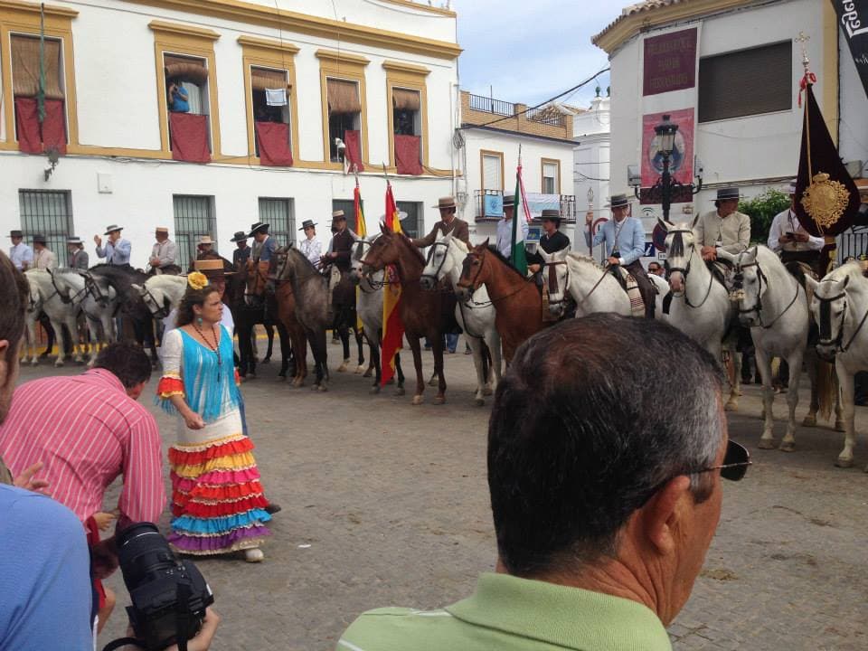 Romería de Pentecostés 2014 — foto 20