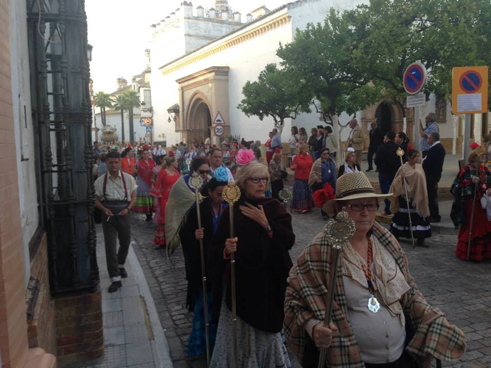 Romería de Pentecostés 2014 — foto 31