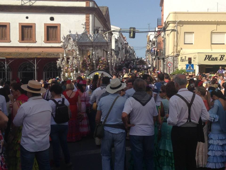 Romería de Pentecostés 2014 — foto 33