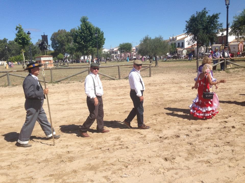Romería de Pentecostés 2014 — foto 73
