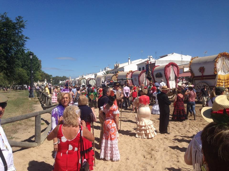 Romería de Pentecostés 2014 — foto 76