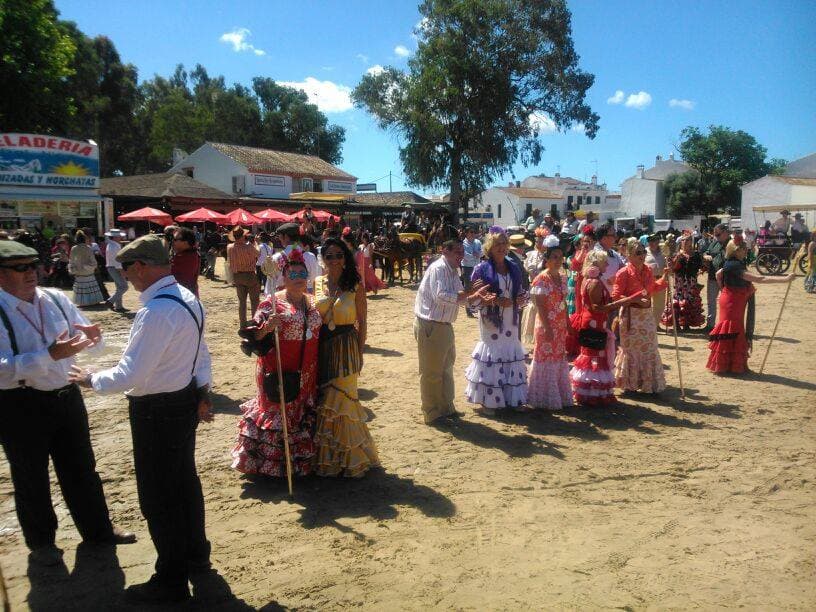 Romería de Pentecostés 2014 — foto 79