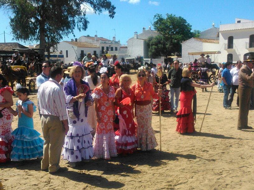 Romería de Pentecostés 2014 — foto 88
