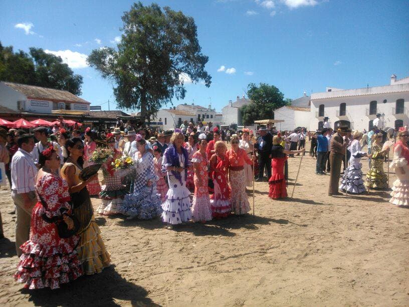 Romería de Pentecostés 2014 — foto 89