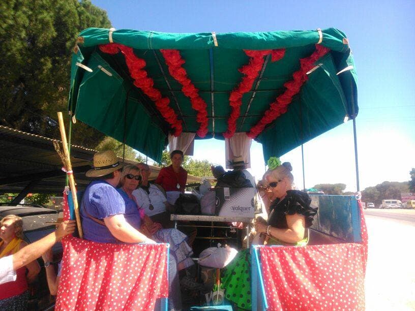 Romería de Pentecostés 2014 — foto 92