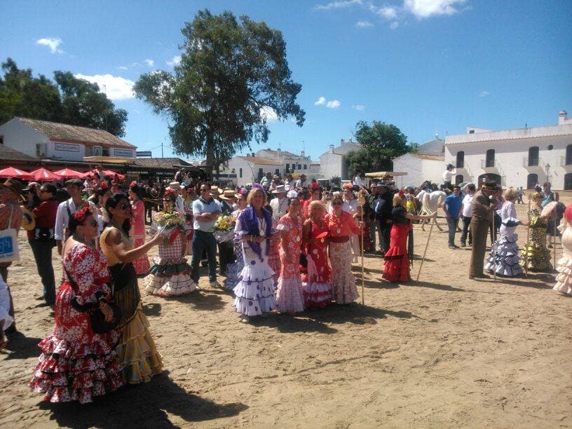 Romería de Pentecostés 2014 — foto 93