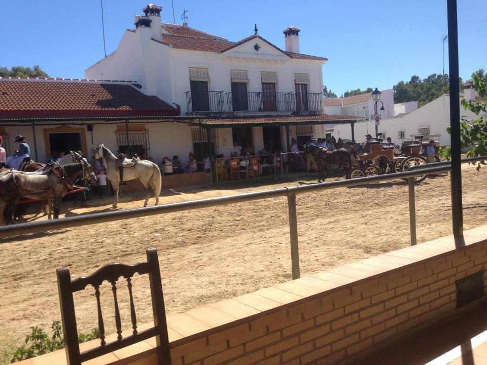 Romería de Pentecostés 2014 — foto 96