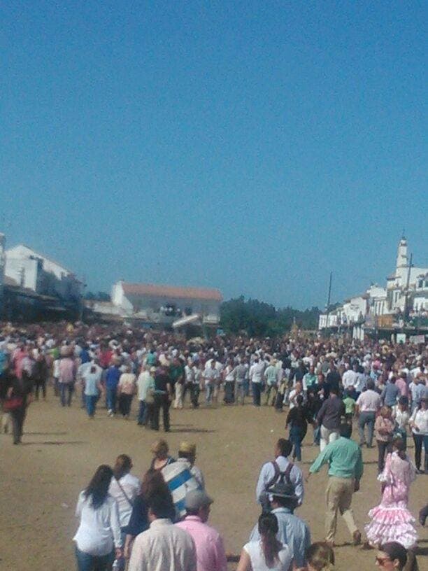 Romería de Pentecostés 2014 — foto 141