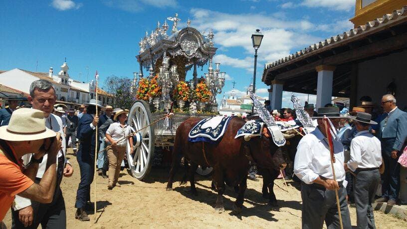 Romería de Pentecostés 2014 — foto 142