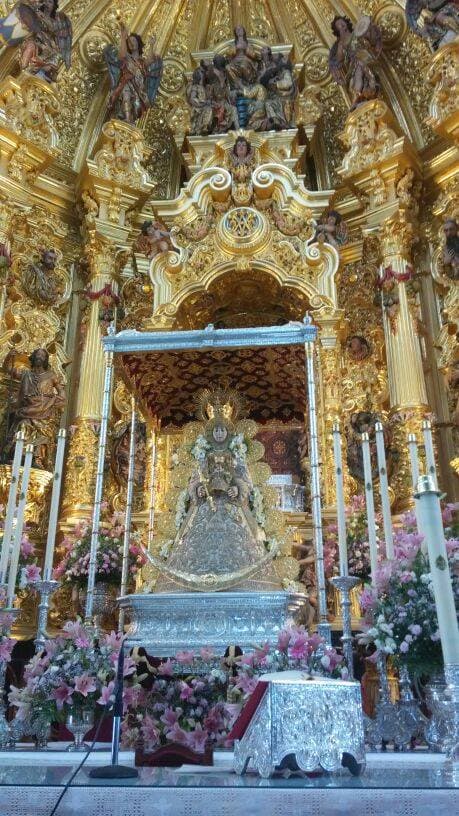 Romería de Pentecostés 2014 — foto 146