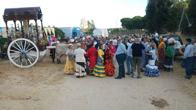 Romería de Pentecostés 2014 — foto 147