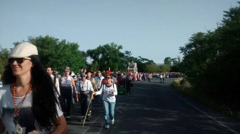 Romería de Pentecostés 2014 — foto 164