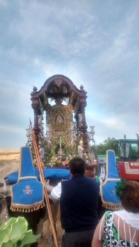 Romería de Pentecostés 2014 — foto 168