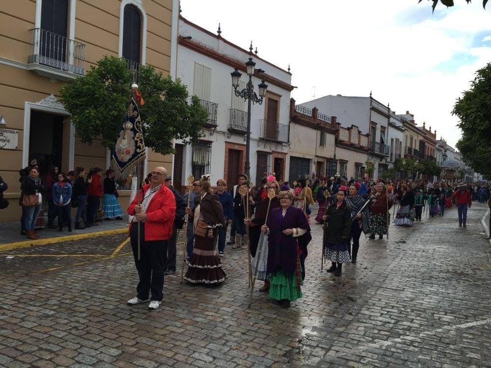 Romería de Pentecostés 2016 — foto 19