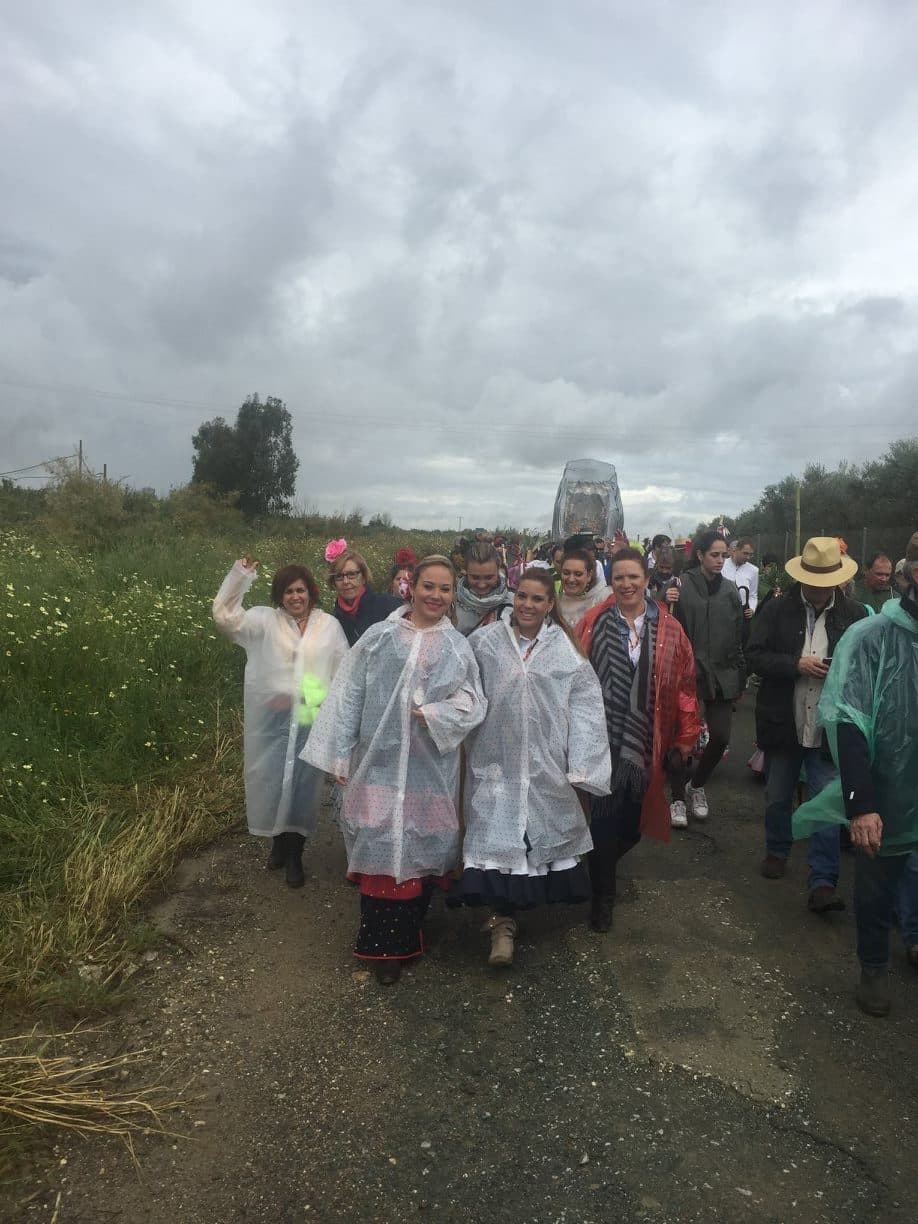 Romería de Pentecostés 2016 — foto 25