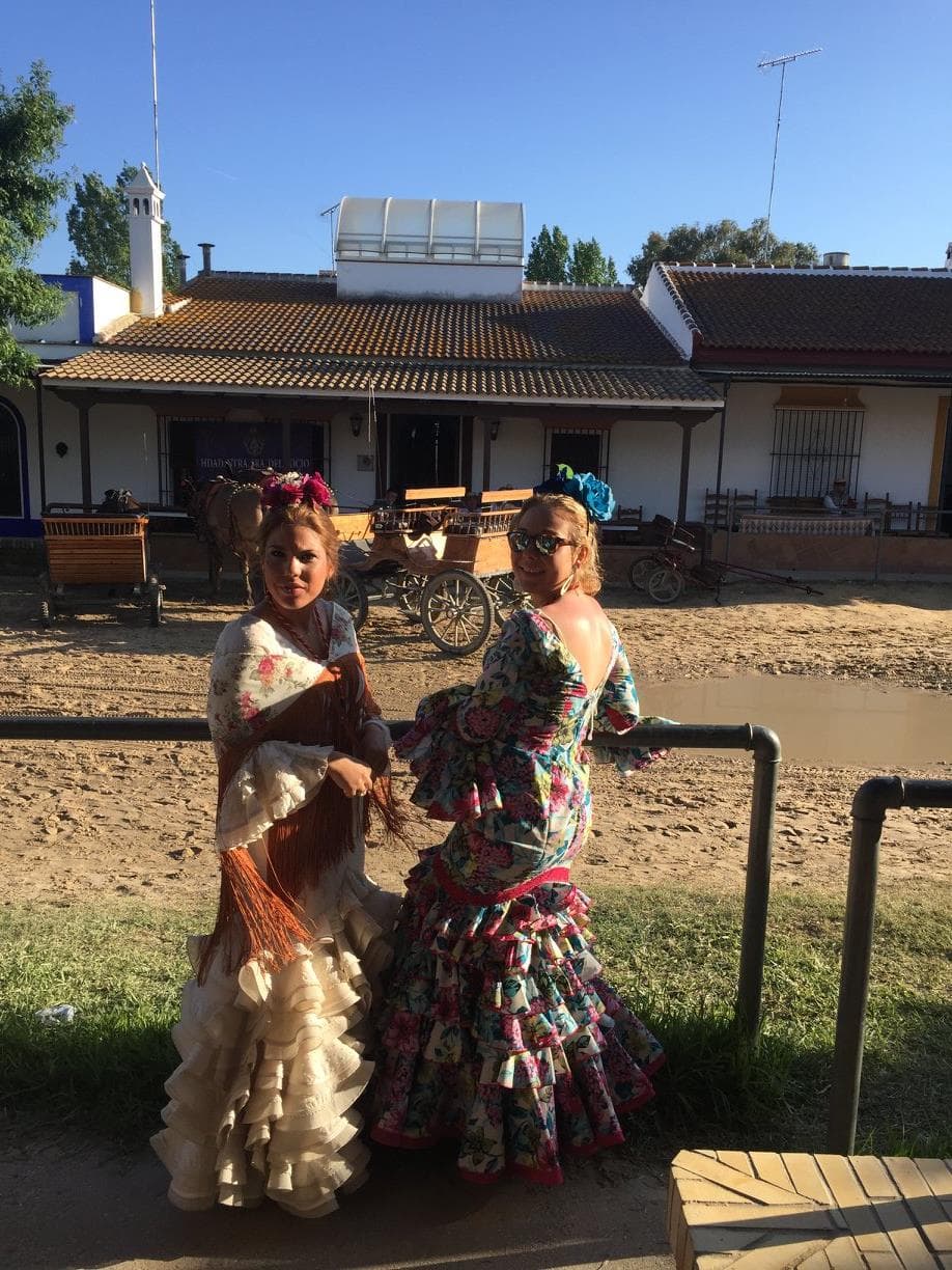 Romería de Pentecostés 2016 — foto 69