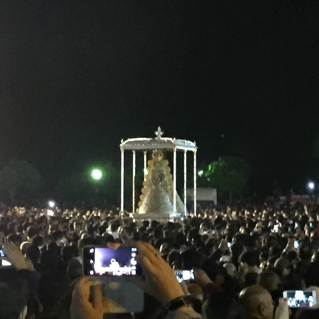 Romería de Pentecostés 2016 — foto 83