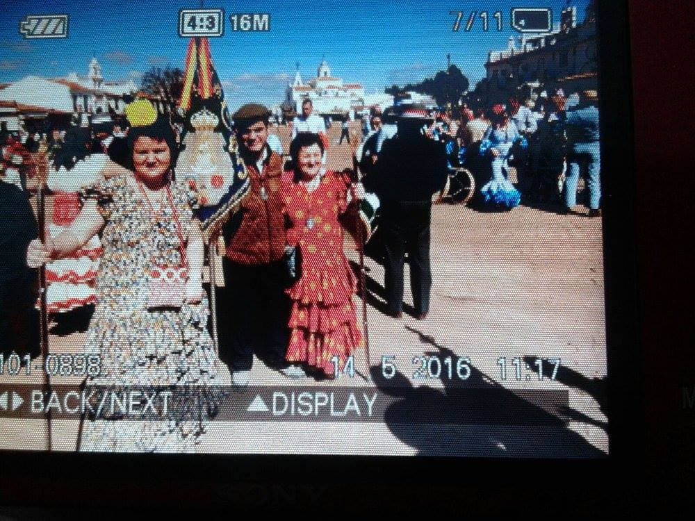Romería de Pentecostés 2016 — foto 106