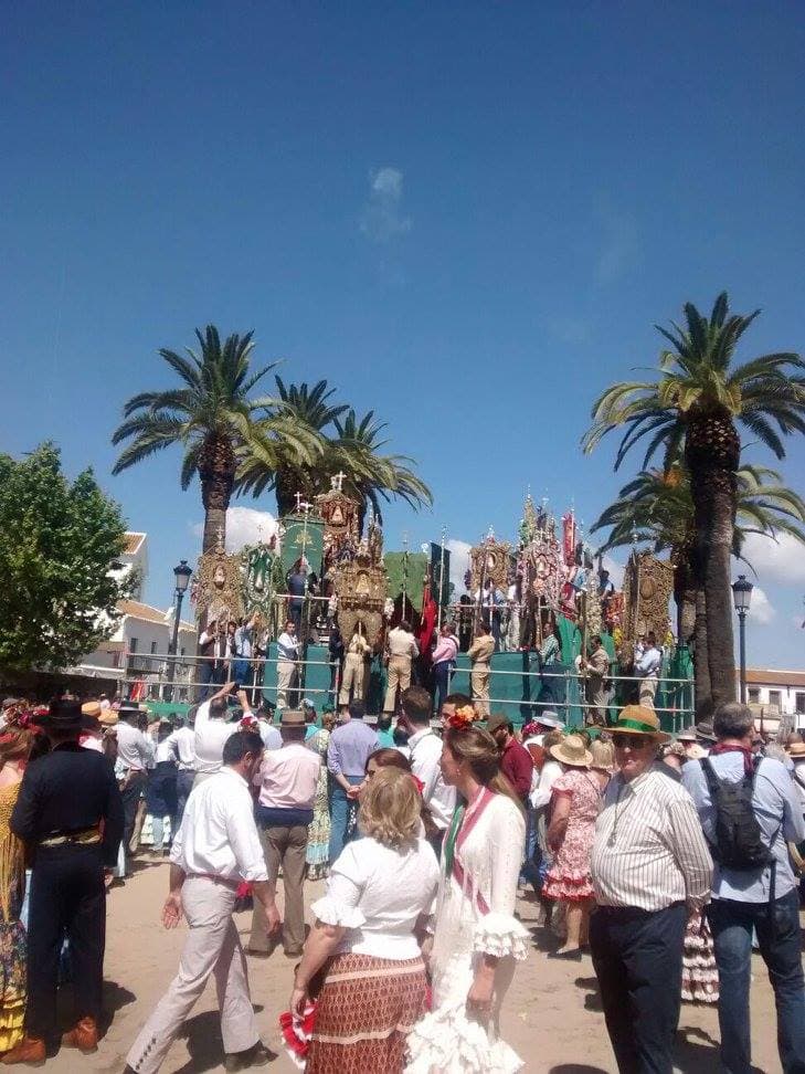 Romería de Pentecostés 2016 — foto 107