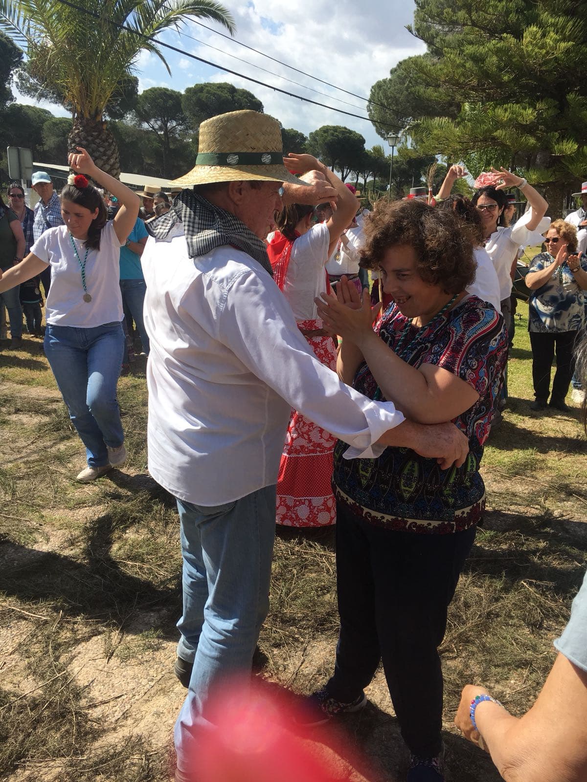 Romería de Pentecostés 2018 — foto 18