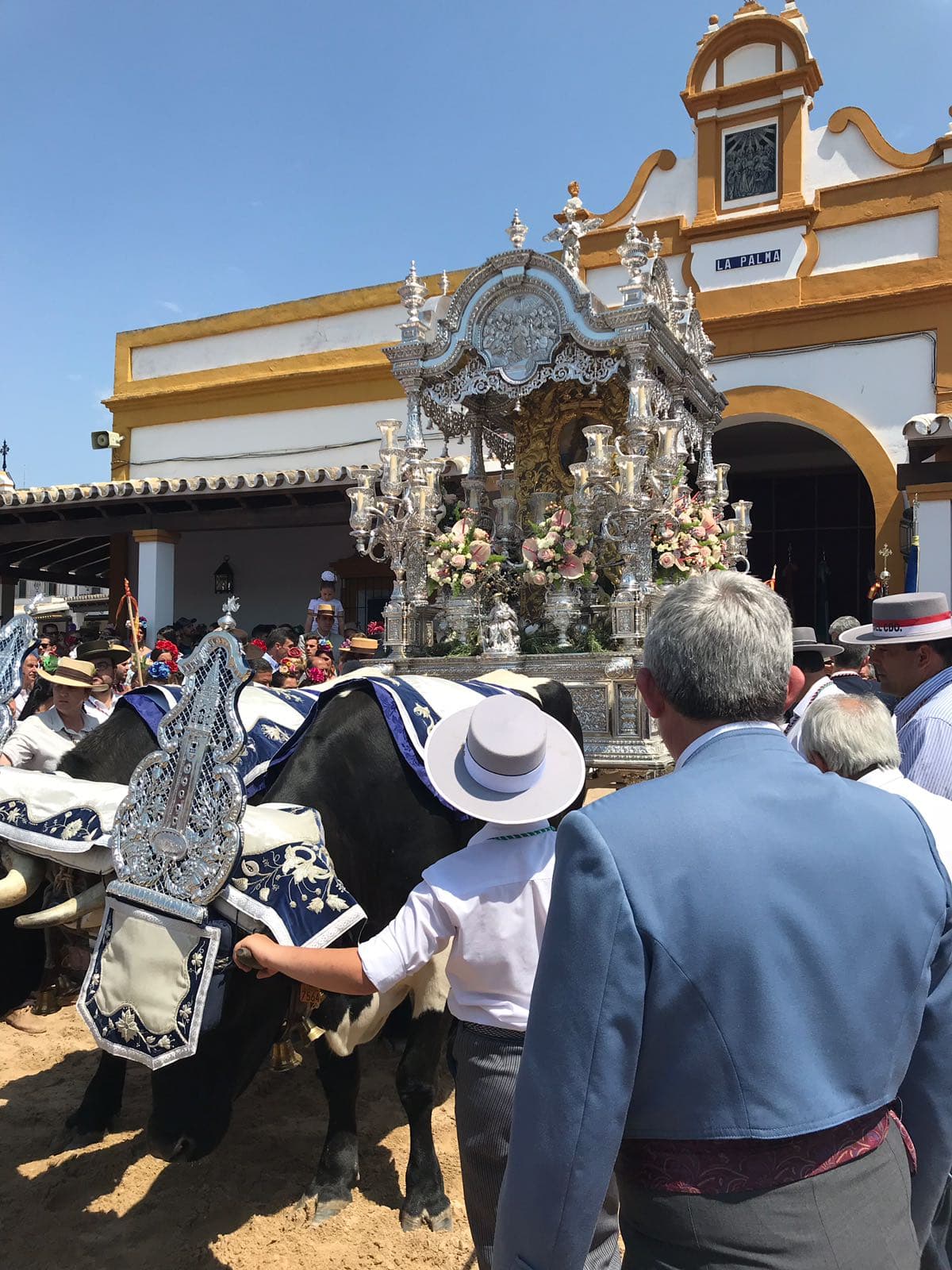 Romería de Pentecostés 2018 — foto 25