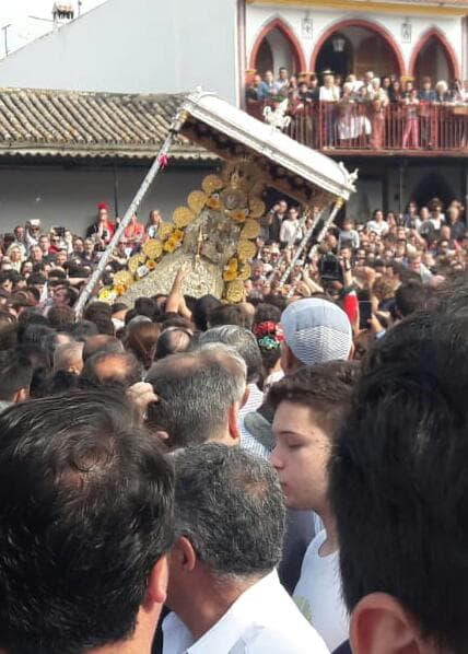 Romería de Pentecostés 2018 — foto 34